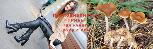 Альфа ПВП Балабаново