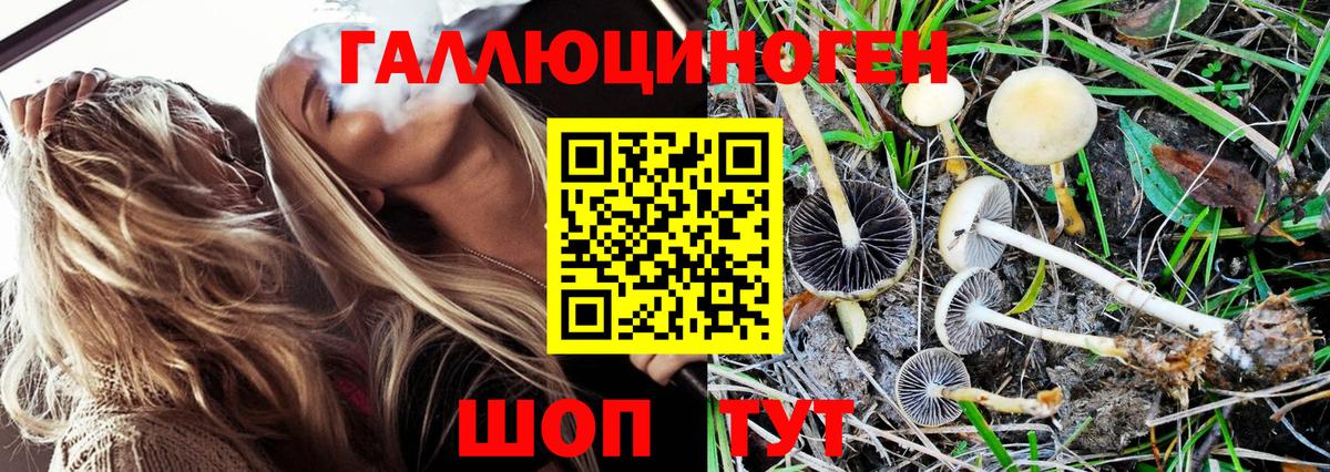 Галлюциногенные грибы MAGIC MUSHROOMS  Вход с VPN  Заречный 